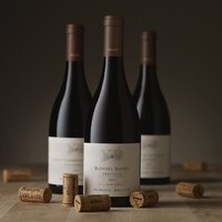 Domaine Arlaud Morey-Saint-Denis Logo