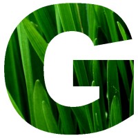 Groundleader Ltd Logo