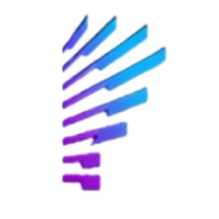 Plethora IT & HR Solutions Logo