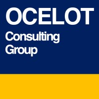 Ocelot Consulting Group Logo