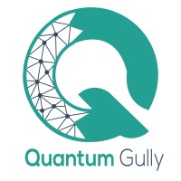 Quantum Gully Logo