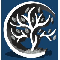 StoneTree Investment Partners Logo