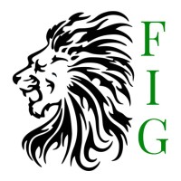 Finance and Investment Group Logo
