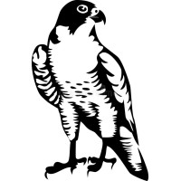 Peregrine Consulting LLC Logo