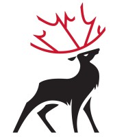 True North Scaffold + Insulation Logo