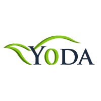 MyYoda LLC Logo