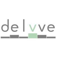Delvve Logo
