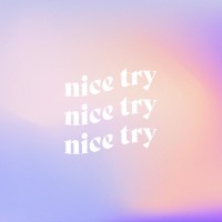Nice Try Creative Logo
