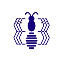 Buzzed Bee Business/Broadcasting Logo