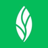 MINT dentistry Logo