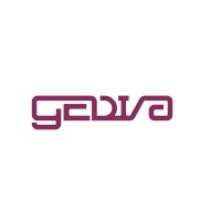 Gedi S.A. de C.V. Logo