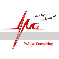 PcAlive Consulting Srl Logo