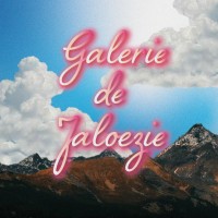 Stichting Galerie de Jaloezie Foundation Logo