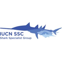 IUCN SSC Shark Specialist Group (SSG) Logo