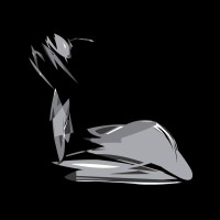 Salictum alpacafarm Logo