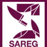Sareg SA / Insulae groupe Radicchi Logo
