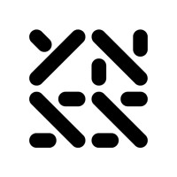 The Youth National Security Strategy Logo