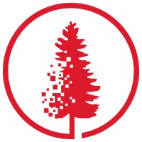Palo Alto Databases Logo