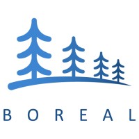 Boreal Environmental Services Logo
