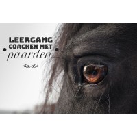 Leergang coachen met paarden Logo