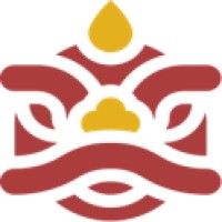Chinalyse Logo