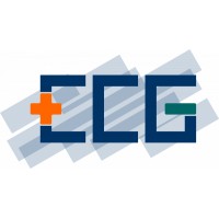 Electrochemistry and Electroplating Group at TU Ilmenau Logo