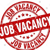 Fresher Wipro, IBM , TCS, Accenture, and HCL Based Online Job Internship With Certification Course Logo