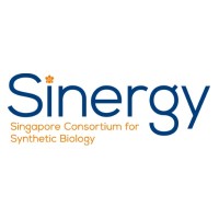 SINERGY, Singapore Consortium for Synthetic Biology Logo