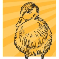 Odd Duck LLC Logo