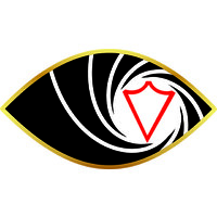 Virtual Protect Security Private Limited Logo