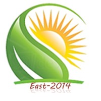 Desun Technology Logo