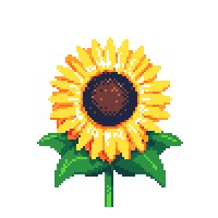 Sunflower Software Inc. Logo