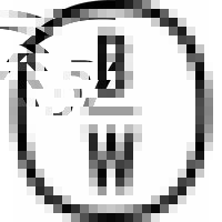 Butler/White Strategies Logo