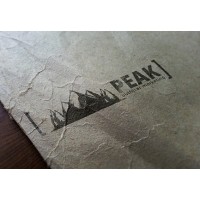 Peak Outfitter Marketing Logo