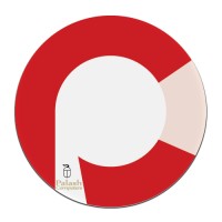 Palash Computers Logo