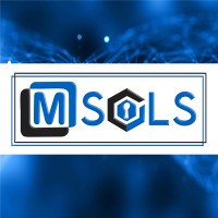 MSOLS - Software Consulting & Development Logo