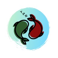 The Public Server Logo