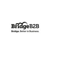 Bridge B2B Logo