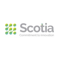 The Scotia Group Logo