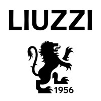 Liuzzi Group Logo