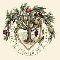 Collège citoyen de France Logo