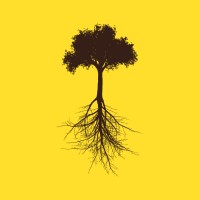 Transcende Comunica Logo