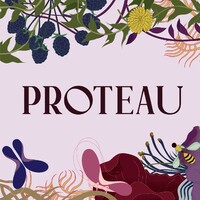 Proteau Zero-Proof Botanical Drinks Logo