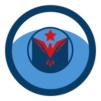 Southern Blue USA Logo