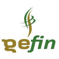 Grupo de Estudos em Direito e Regulação Financeira da Universidade de Brasília Logo