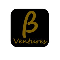 Beta Ventures LLC Logo