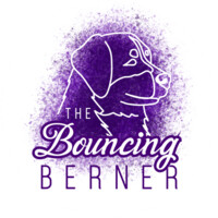 The Bouncing Berner Logo