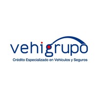 Vehigrupo S.A.S. Logo