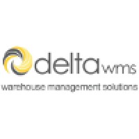 Delta Software Logo