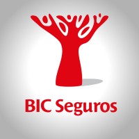 BIC Seguros Logo